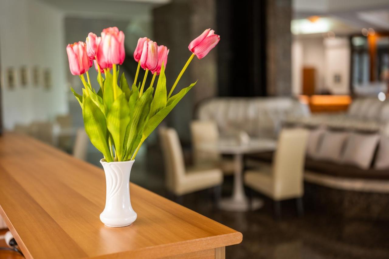 Sole Mio Wellness & Spa Novi Sad Ngoại thất bức ảnh